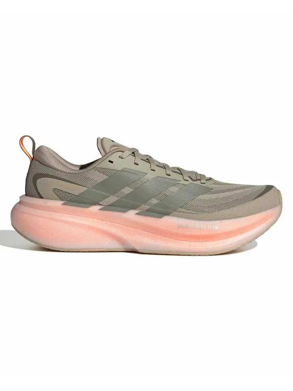Incaltaminte Supernova Glide Running