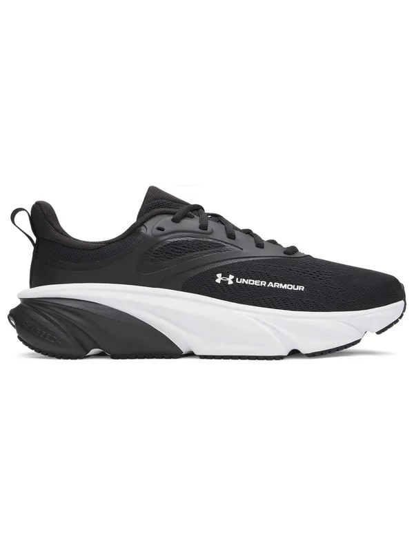 Incaltaminte Ua Rogue 6