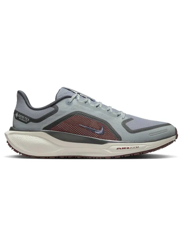 Incaltaminte Air Zm Pegasus 41 Gtx