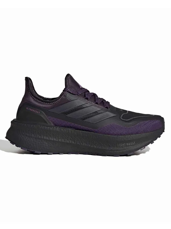 Incaltaminte Ultraboost 5 Gtx