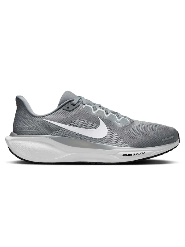 Incaltaminte Air Zoom Pegasus 41