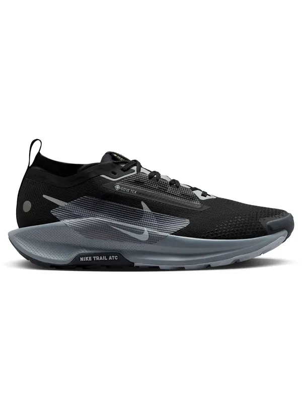 Incaltaminte Pegasus Trail 5 Gtx