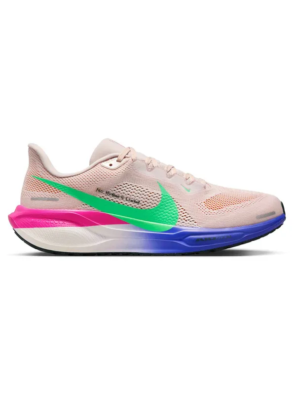 Incaltaminte Air Zoom Pegasus 41 Ek