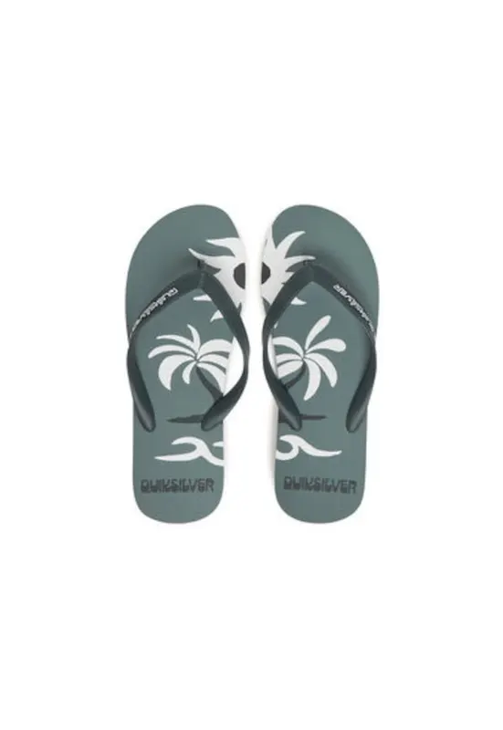 Papuci flip-flop barbati AQYL101427-LTG - Sintetic - Verde - Verde