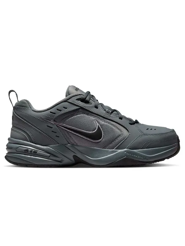 Incaltaminte Air Monarch Iv