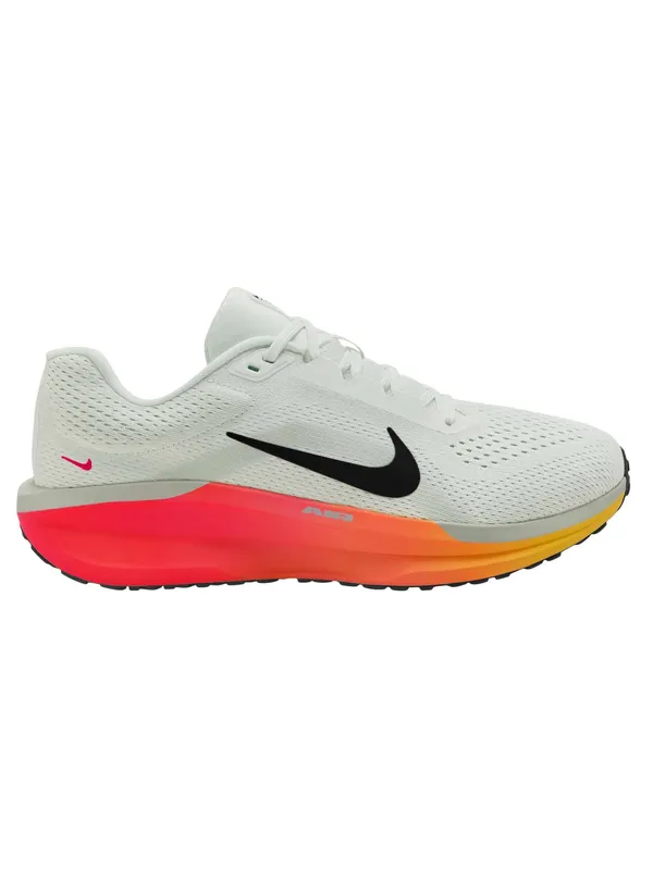 Incaltaminte Air Winflo 11
