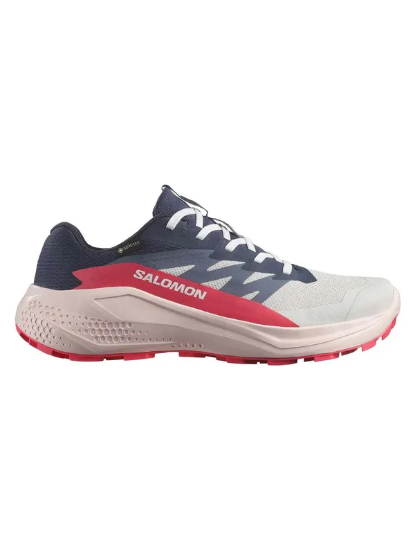 Incaltaminte Alphaglide Gtx W