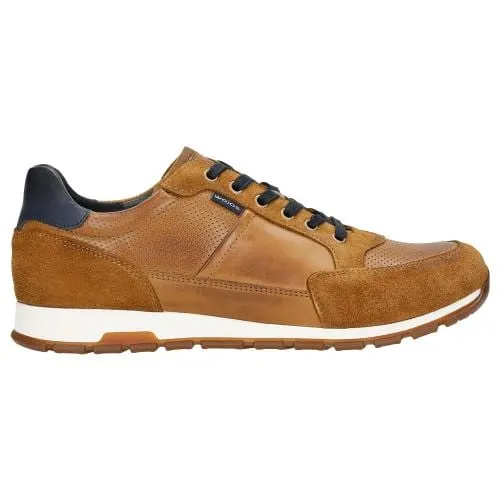 Sneakers universali maro-deschis cu accente bleumarin bărbați