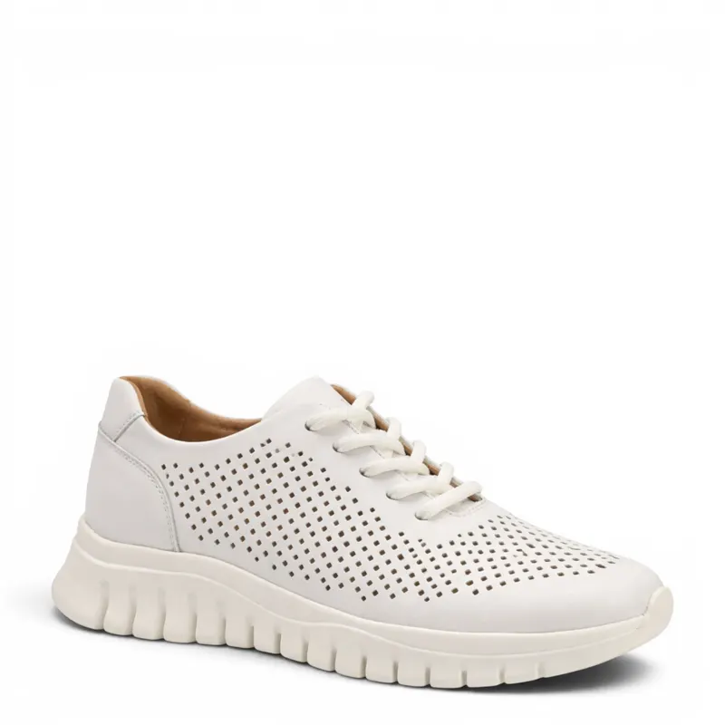 Pass Collection Sneakers HD80004C