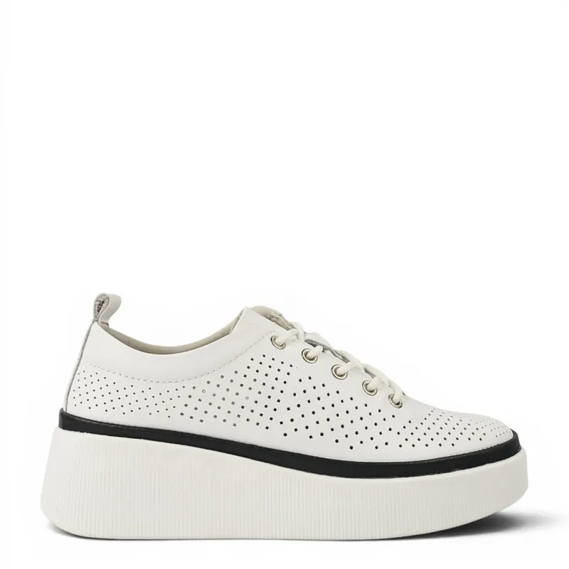 Gallop Pantofi Sport K244