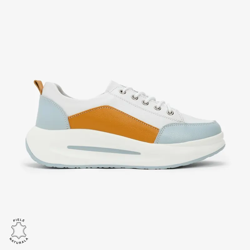 alb, albastru, multicolor